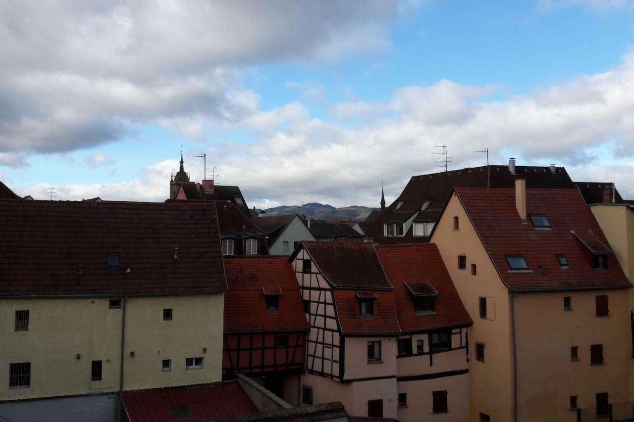 Gite Hopla 2 Chambres Colmar Buitenkant foto