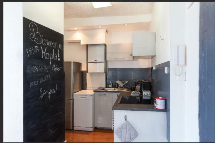 Gite Hopla 2 Chambres Colmar Buitenkant foto